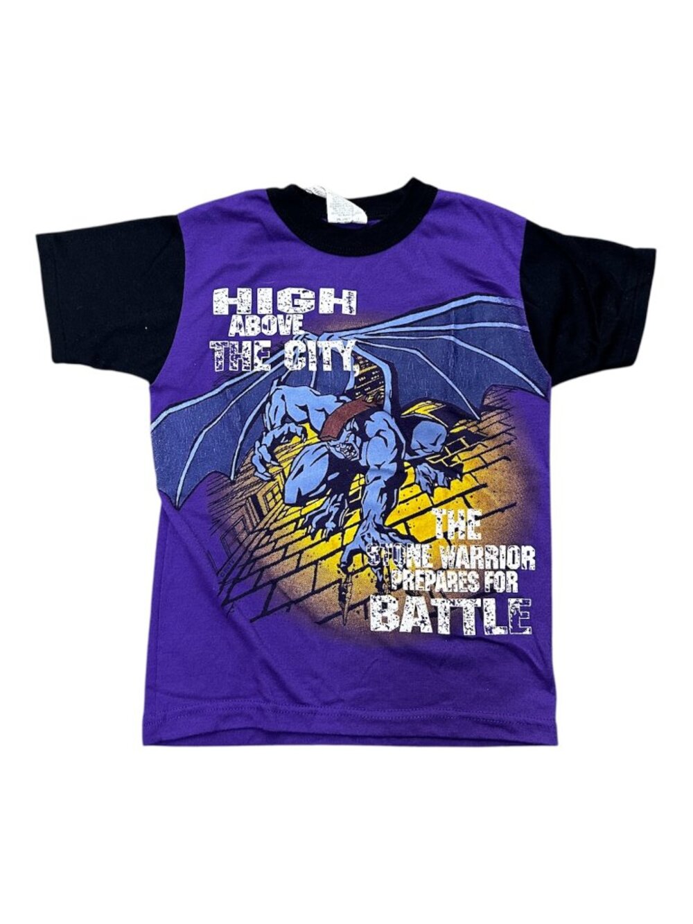 Gargoyle Stone Warrior Kids Size 6 Graphic T-Shirt High Above The City Tee
